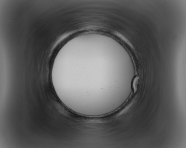 X0000086051021200704131952