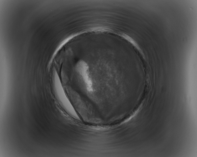 X0000086051022200704131952