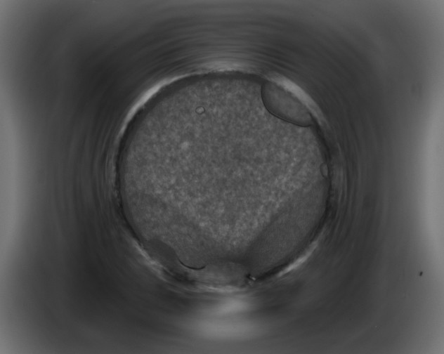 X0000086051023200704131952