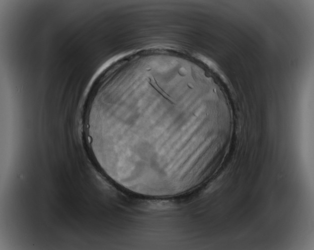 X0000086051024200704131952