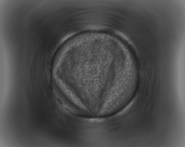 X0000086051025200704131952