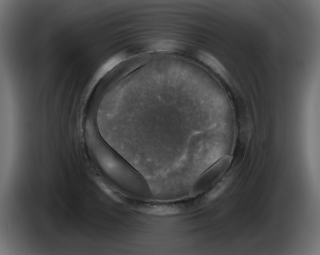 X0000086051026200704131952