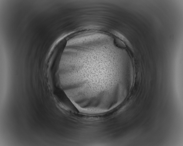 X0000086051027200704131952