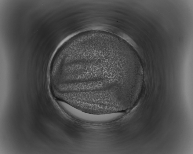 X0000086051028200704131952