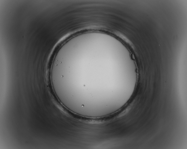 X0000086051029200704131952
