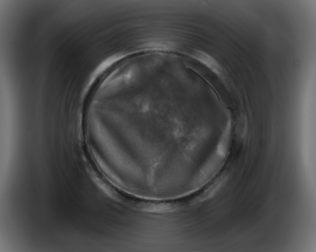X0000086051030200704131952