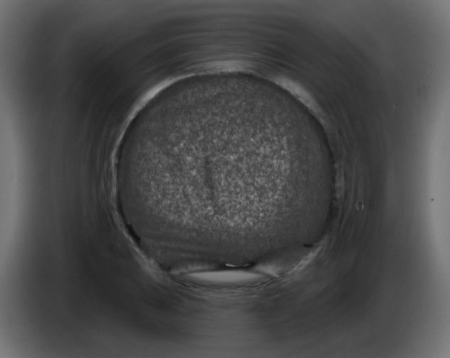 X0000086051031200704131952