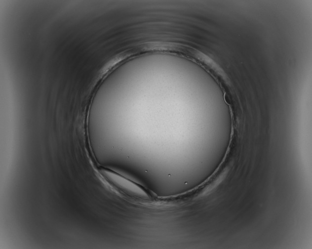 X0000086051033200704131952
