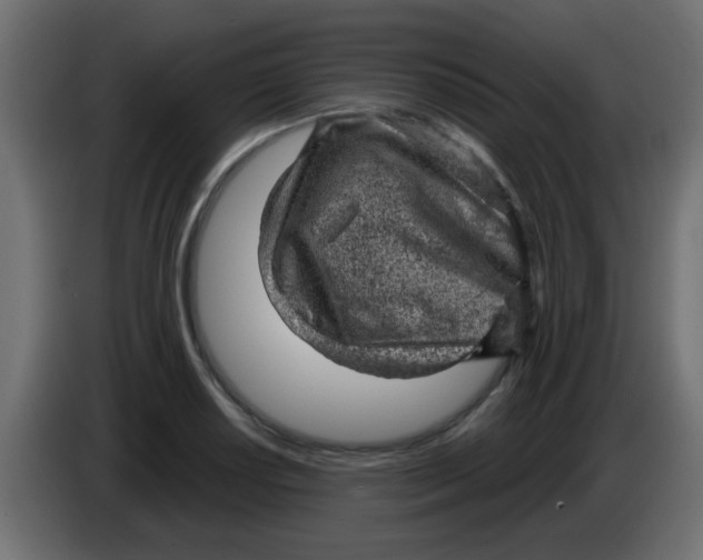 X0000086051034200704131952