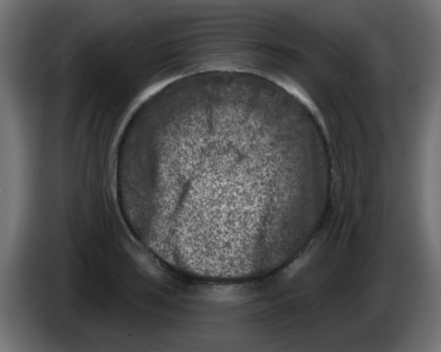 X0000086051035200704131952