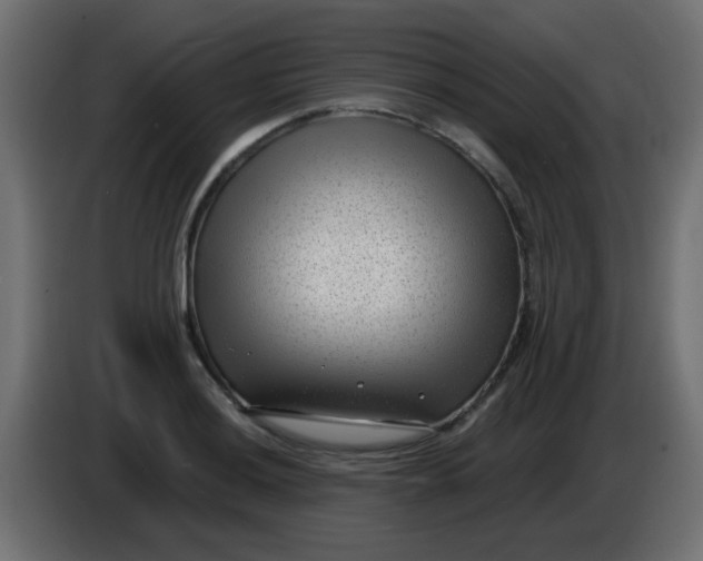 X0000086051036200704131952