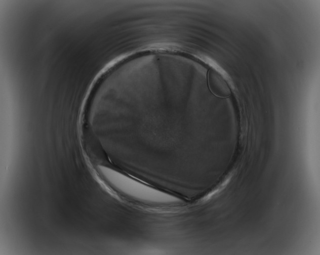 X0000086051037200704131952