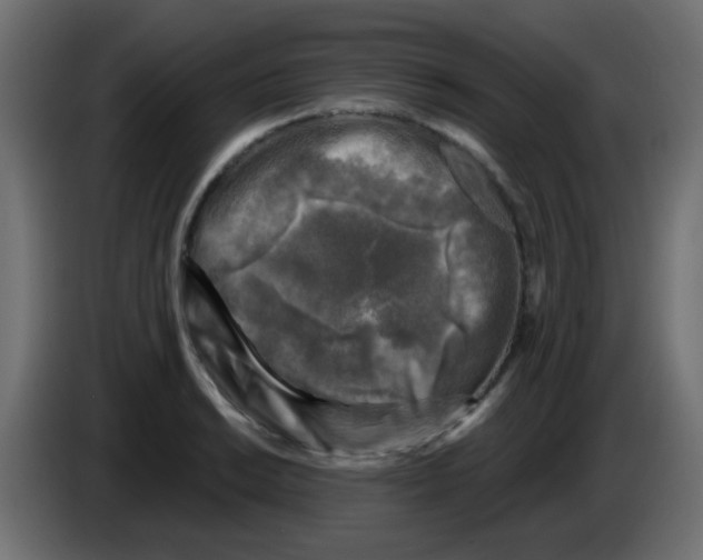 X0000086051038200704131952