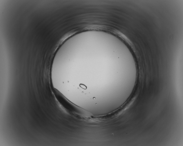 X0000086051041200704131952