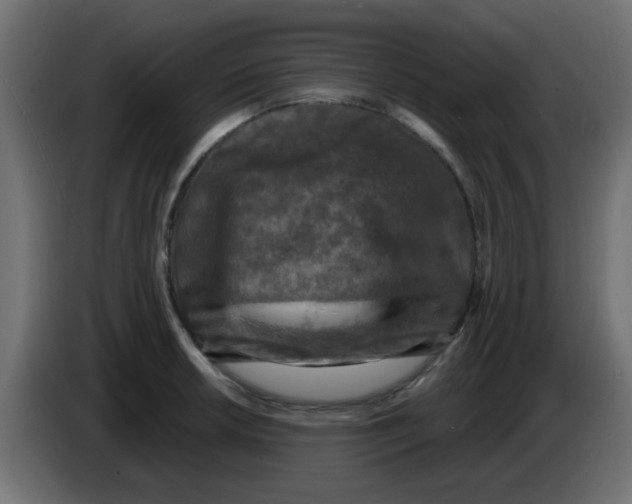 X0000086051042200704131952