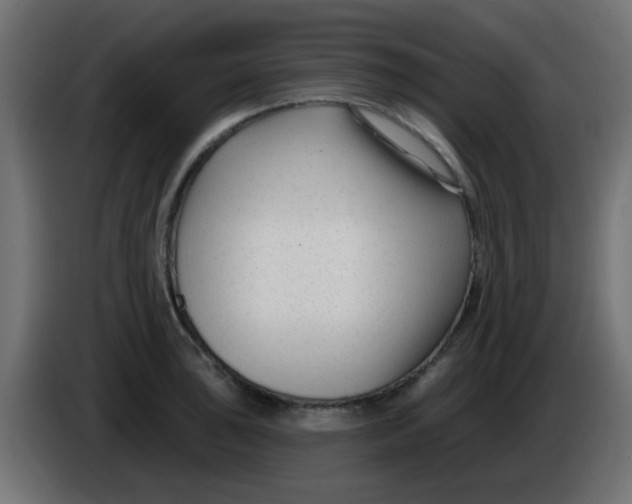 X0000086051043200704131952