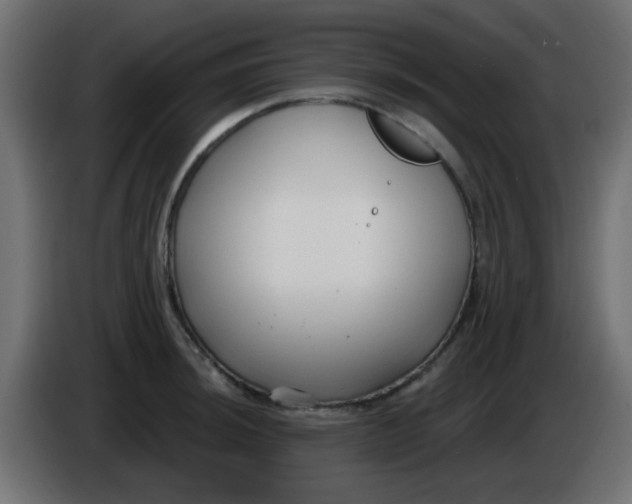 X0000086051044200704131952