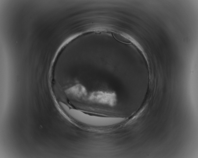 X0000086051045200704131952