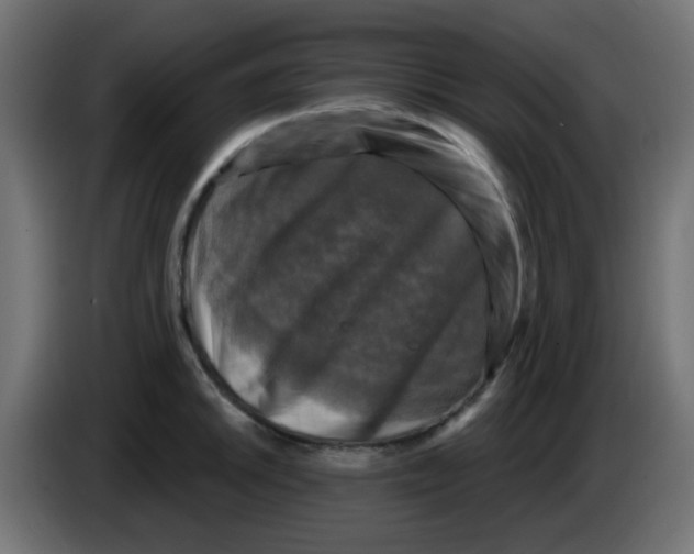 X0000086051046200704131952