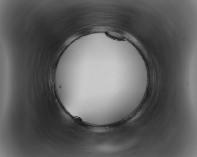 X0000086051049200704131952