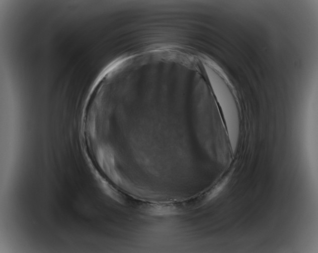 X0000086051050200704131952