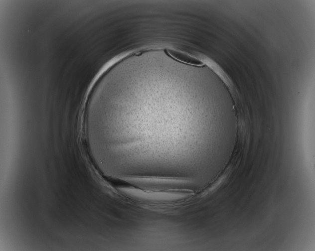 X0000086051052200704131952