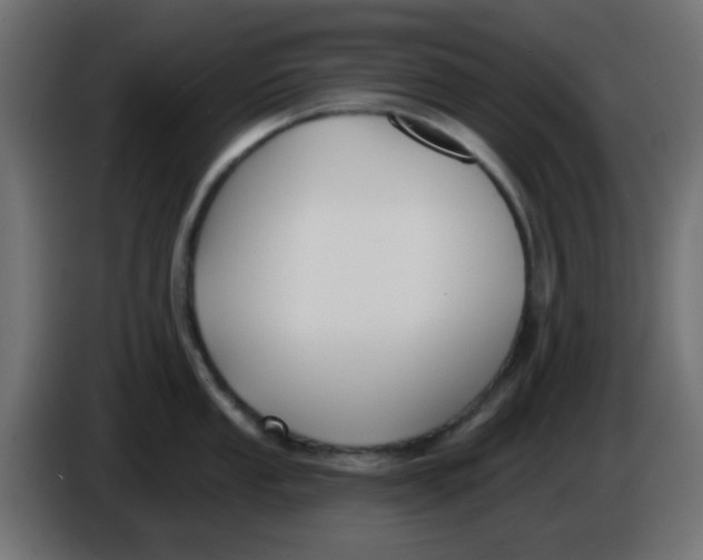 X0000086051053200704131952