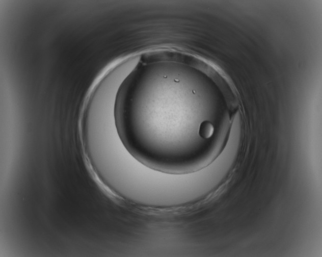 X0000086051054200704131952