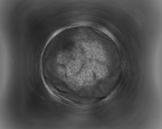 X0000086051055200704131952