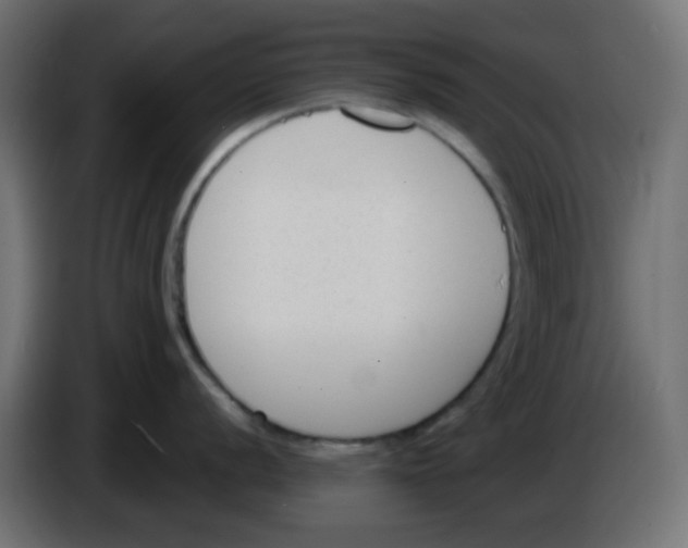 X0000086051056200704131952