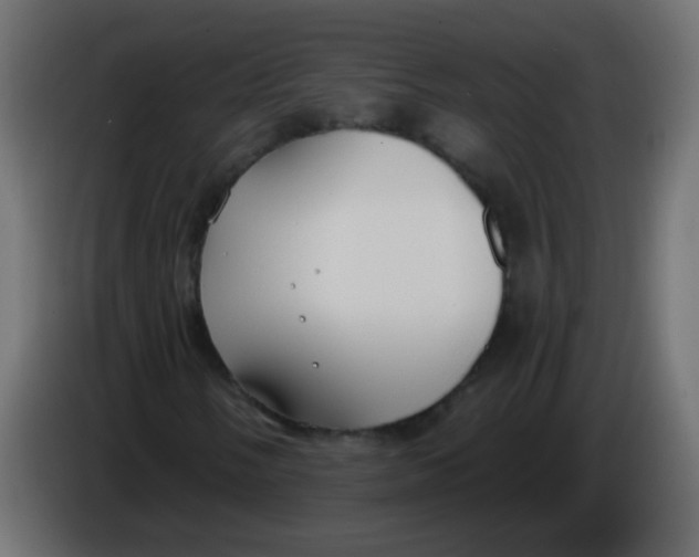 X0000086051058200704131951