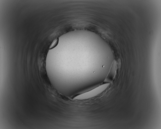 X0000086051059200704131951
