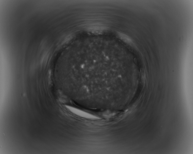 X0000086051060200704131951