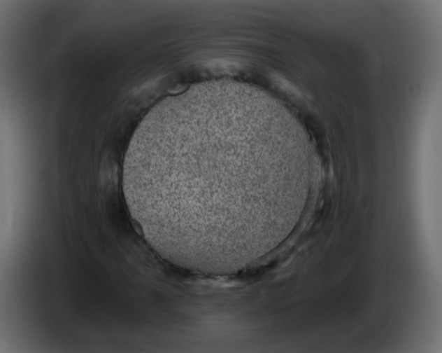 X0000086051061200704131951