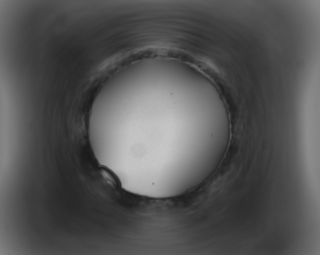 X0000086051062200704131951