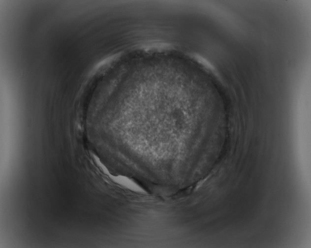 X0000086051063200704131951