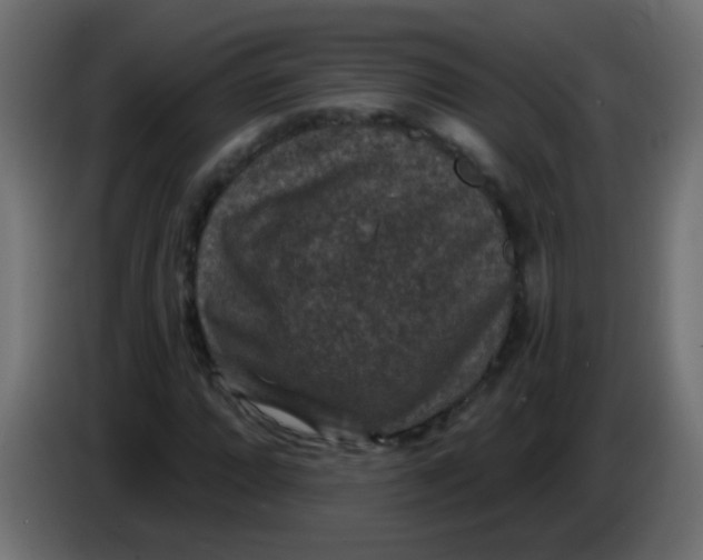 X0000086051064200704131951