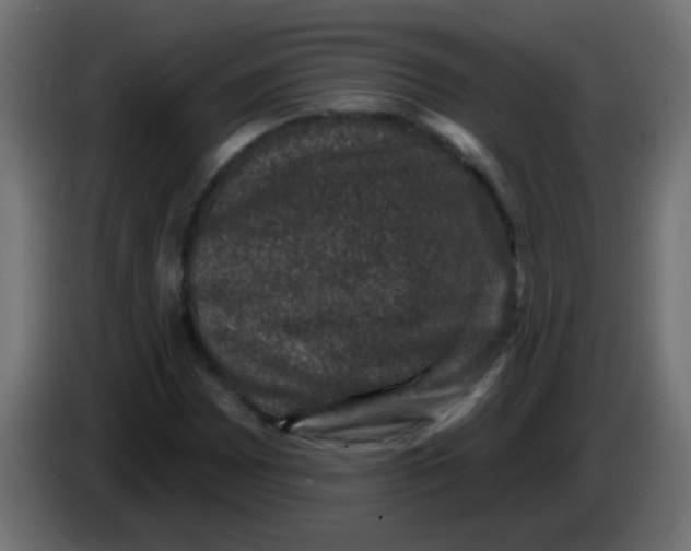 X0000086051065200704131951