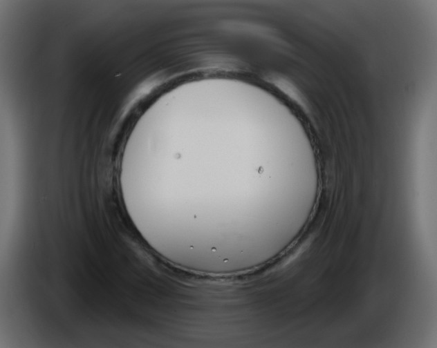 X0000086051067200704131951