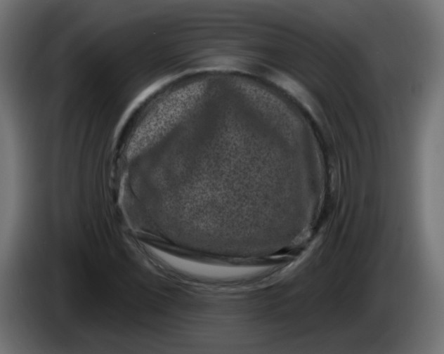 X0000086051069200704131951