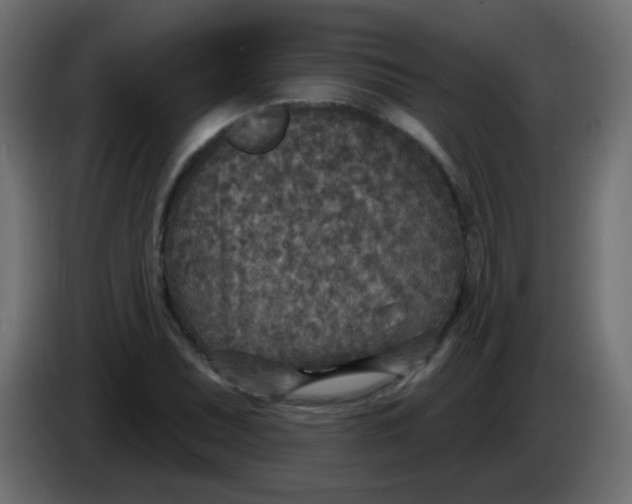 X0000086051071200704131951