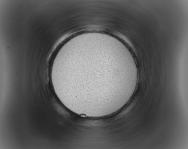 X0000086051075200704131951