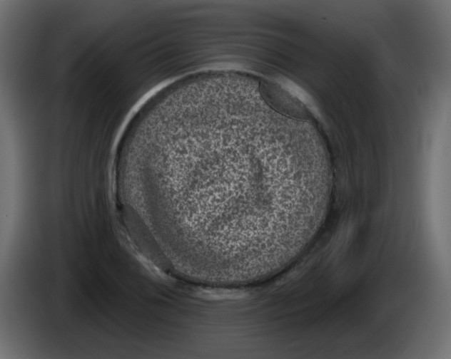 X0000086051076200704131951