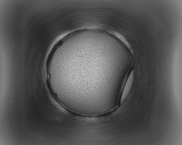 X0000086051080200704131951