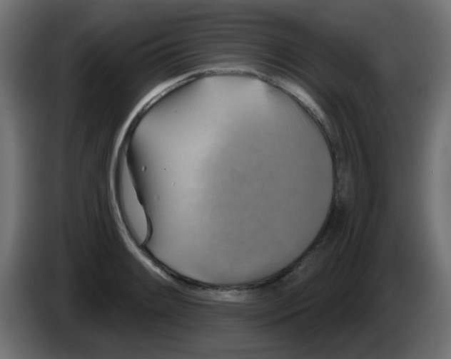 X0000086051084200704131951