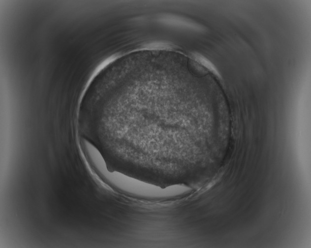 X0000086051087200704131951