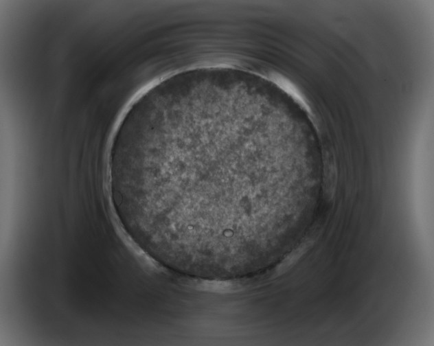 X0000086051088200704131951