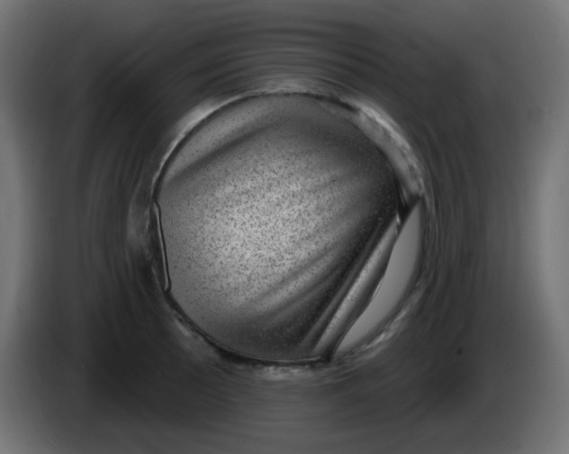 X0000086051089200704131951