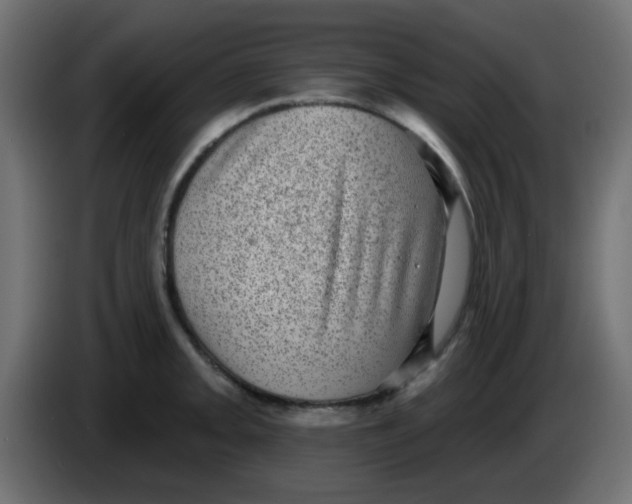 X0000086051093200704131951