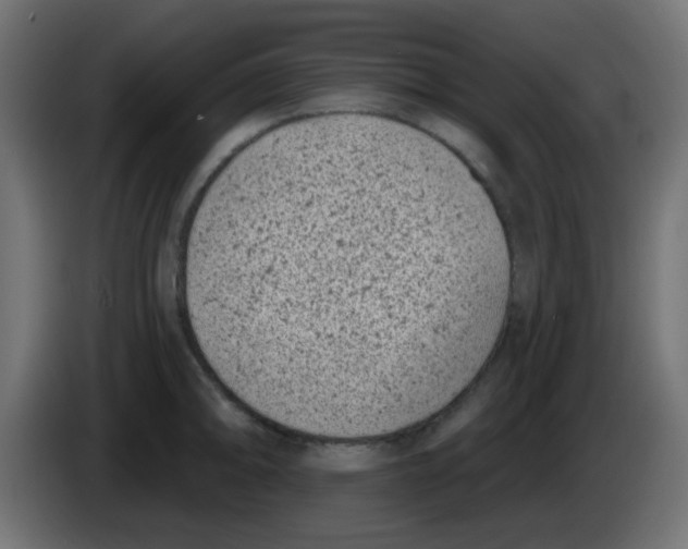 X0000086051094200704131951